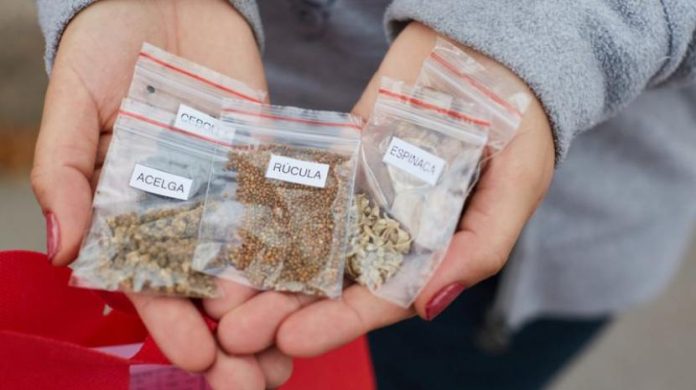 Tafí viejo: Entregan kit de semillas de estación