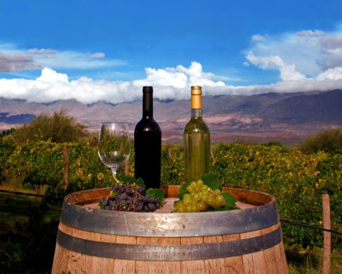 Planean que bares y restaurantes tengan una carta de vinos tucumanos