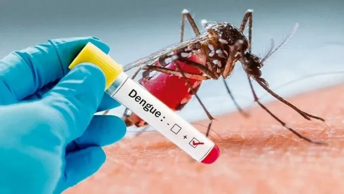 dengue 2