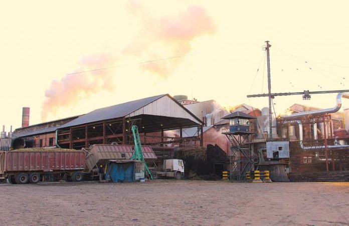 730x473_251030155129_14259