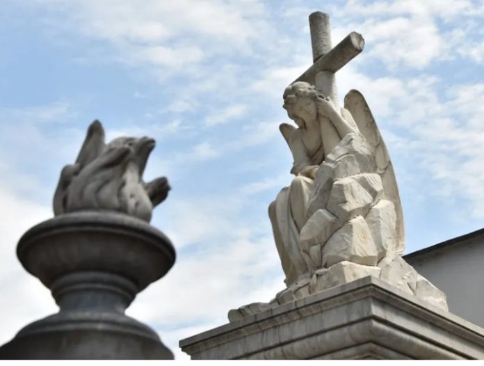 Screenshot_20251031-084838~2