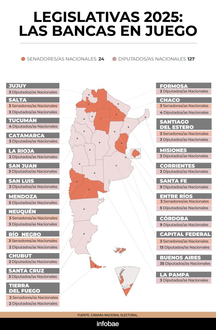 Dónde voto: cómo consultar el padrón electoral de las elecciones nacionales legislativas 2025