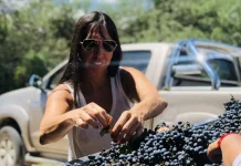 De la crisis al legado: cómo una familia tucumana convirtió el sueño de un padre en un vino premiado