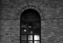 ¿Y si la ansiedad no fuera un error, sino una lealtad antigua?