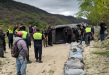 La Policía de Tucumán secuestró 120 kilos de marihuana en El Tala