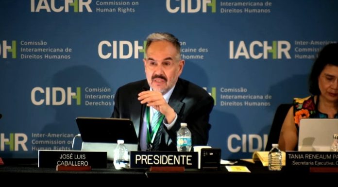 La CIDH propuso visitar la Argentina ante las acusaciones por agresiones a la prensa y limitaciones a la libertad de expresión