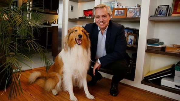 Murió Dylan, el perro de Alberto Fernández: la despedida en redes del ex Presidente