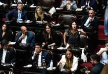 Negociación clave: el futuro de los ex libertarios que le podrían dar la primera minoría al Gobierno en Diputados