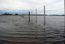 Un bloque de legisladores bonaerenses pidió declarar la emergencia agropecuaria por los campos inundados en PBA