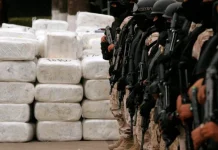 “El narcoterrorismo ya está instalado en Argentina”, advierte Daniel Adler: una alerta desde la experiencia internacional