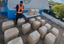 En controles fronterizos secuestran 370 kilos de hoja de coca durante el Operativo Lapacho