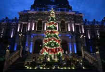 Casa de Gobierno encendió el Árbol de Navidad