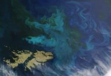 El Gobierno rechazó el desarrollo de un yacimiento offshore para extraer petróleo al norte de las Islas Malvinas