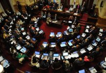 El Senado se prepara para sancionar dos leyes y cerrar su año: los escenarios posibles