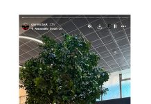 Ganó por KO como visitante y se desató una salvaje batalla campal en el ring: “Nos atacaron 100 personas y nosotros éramos 4”