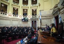 Presupuesto 2026: cuáles son los artículos que la oposición buscará eliminar en el Senado