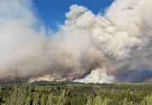 Qué dice la ley que fue impulsada por Máximo Kirchner para el manejo de tierras que el gobierno derogará