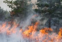 Incendios en Chubut: el clima vuelve a complicar el combate del fuego que ya arrasó con 45 mil hectáreas