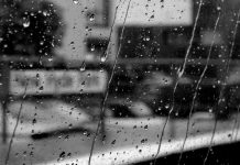 De Opuestos y Extremos: cómo el tribalismo devora las democracias