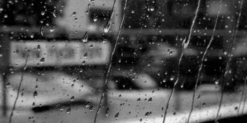 De Opuestos y Extremos: cómo el tribalismo devora las democracias