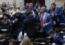 Acuerdos y más poder legislativo: el nuevo escenario que entusiasma a La Libertad Avanza en el Congreso