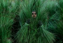 Así fue el espectacular show de mediotiempo de Bad Bunny en el Super Bowl 2026: Lady Gaga, Ricky Martin y un profundo espíritu latino