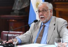 Senado sin respiro: los libertarios aceleran las comisiones para llevar un combo de temas al recinto el jueves 26