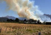 Una fiscal federal denunció posible daño ambiental por la planta de hidrógeno verde en Uruguay