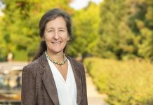 La Batalla por la Atención: Tu cerebro en déficit, cuanto más tienes, menos satisfecho