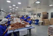 Fentanilo mortal: la Cámara Federal confirmó prisiones y el juez ordenó pericias claves