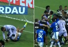 Golpes, patadas voladoras e intervención policial: la escandalosa final entre Cruzeiro y Atlético Mineiro y los argentinos involucrados