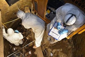 Recorrido histórico