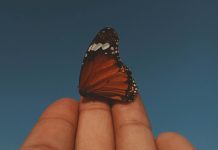 Sábado Santo: cuando la fe y la duda caminan juntas