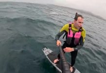 El dramático video que muestra cómo dos surfistas fueron perseguidos por un tiburón blanco: “No pares”