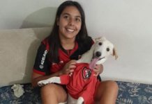 La odisea de Coco, el perro que invadió la cancha en Central-Tigre y es hincha de Newell’s
