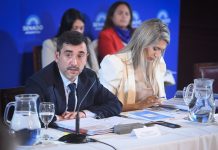 Reforma política: a diferencia de la Casa Rosada, un senador oficialista dijo que “no hay ninguna intención de tratar todo junto”