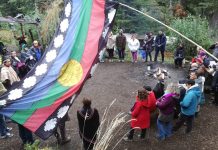 Villa La Angostura: polémica por una obra municipal que atraviesa lotes privados para beneficiar a una comunidad mapuche