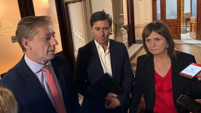 El Gobierno prometió cambios para salvar la ley de propiedad privada en el Senado y quiere sesionar en una semana