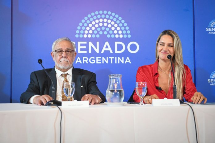Senado: dudas por el ascenso de grado de un militar en una comisión que La Libertad Avanza confeccionó a gusto