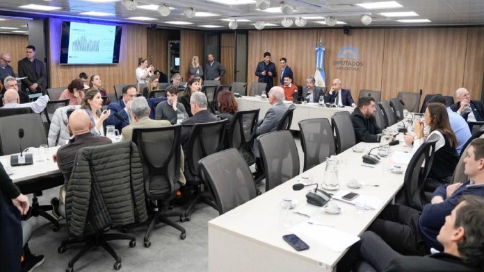 UIA y CAME alertaron sobre la pérdida de empleo y reclamaron incluir proveedores locales en el Super RIGI
