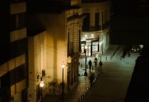 La autonomía es una ilusión: crónica de una picadura y tres umbrales para dejar de estar solos
