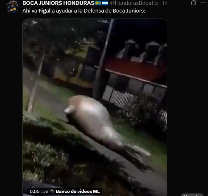 Los mejores memes del sufrido triunfo de Boca por penales frente a O’Higgins: Figal y Aranda, los elegidos