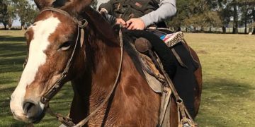 Jugó en River, San Lorenzo y Huracán, pasó por las juveniles y hoy proyecta una granja educativa: “Los animales me desconectan”