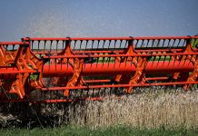 Preocupación en el Gobierno por el “Súper Niño” y su impacto en el campo: prevén hasta un 90% más de lluvias en diciembre